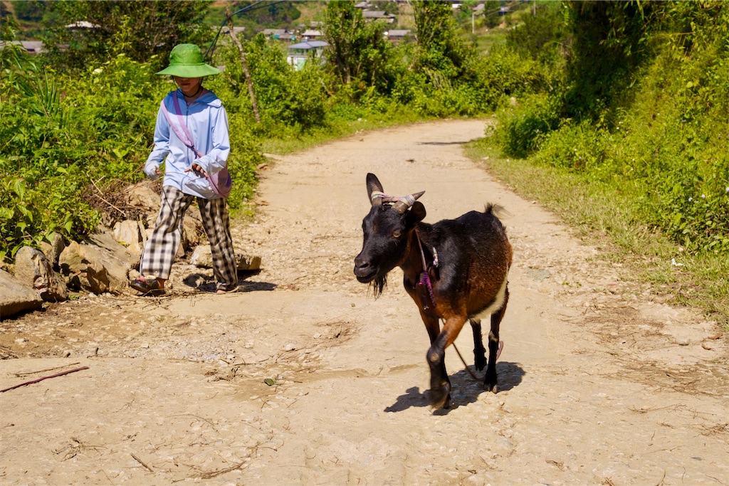 f:id:manao-life:20251009094130j:image f:id:manao-life:20251009094130j:image