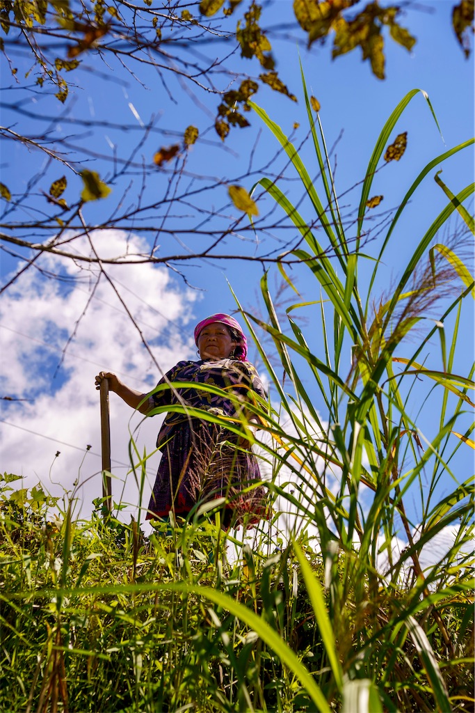 f:id:manao-life:20251009094135j:image f:id:manao-life:20251009094135j:image