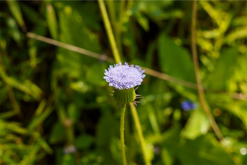 f:id:manao-life:20251009094145j:image f:id:manao-life:20251009094145j:image