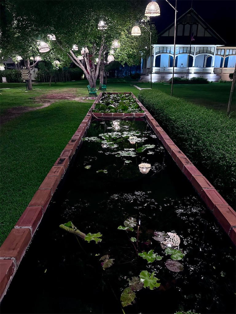 f:id:manao-life:20251114185006j:image