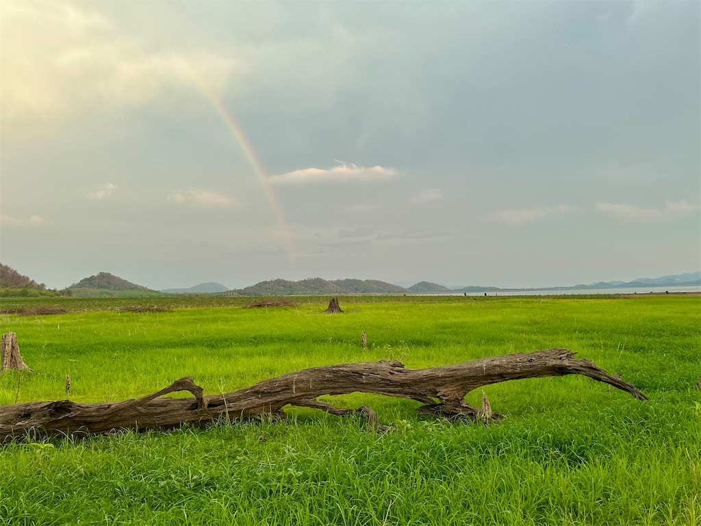 f:id:manao-life:20260507160805j:image f:id:manao-life:20260507160805j:image