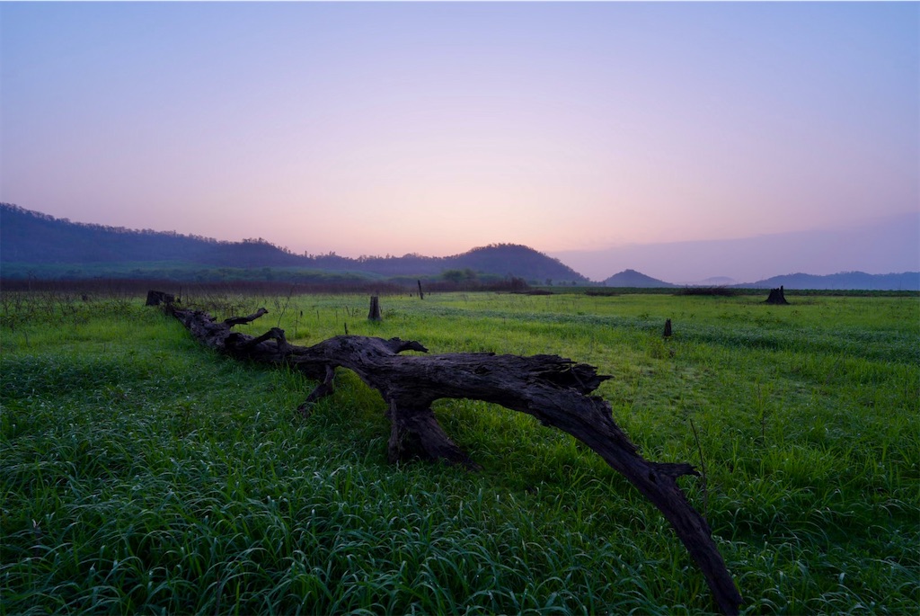 f:id:manao-life:20260507161337j:image f:id:manao-life:20260507161337j:image