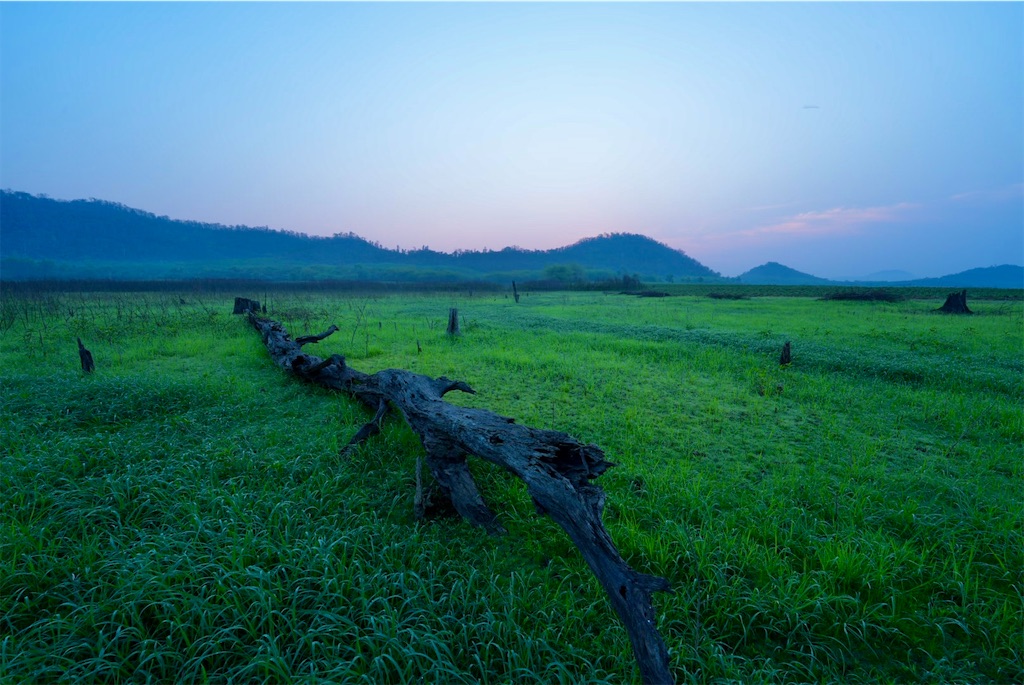 f:id:manao-life:20260507161413j:image f:id:manao-life:20260507161413j:image