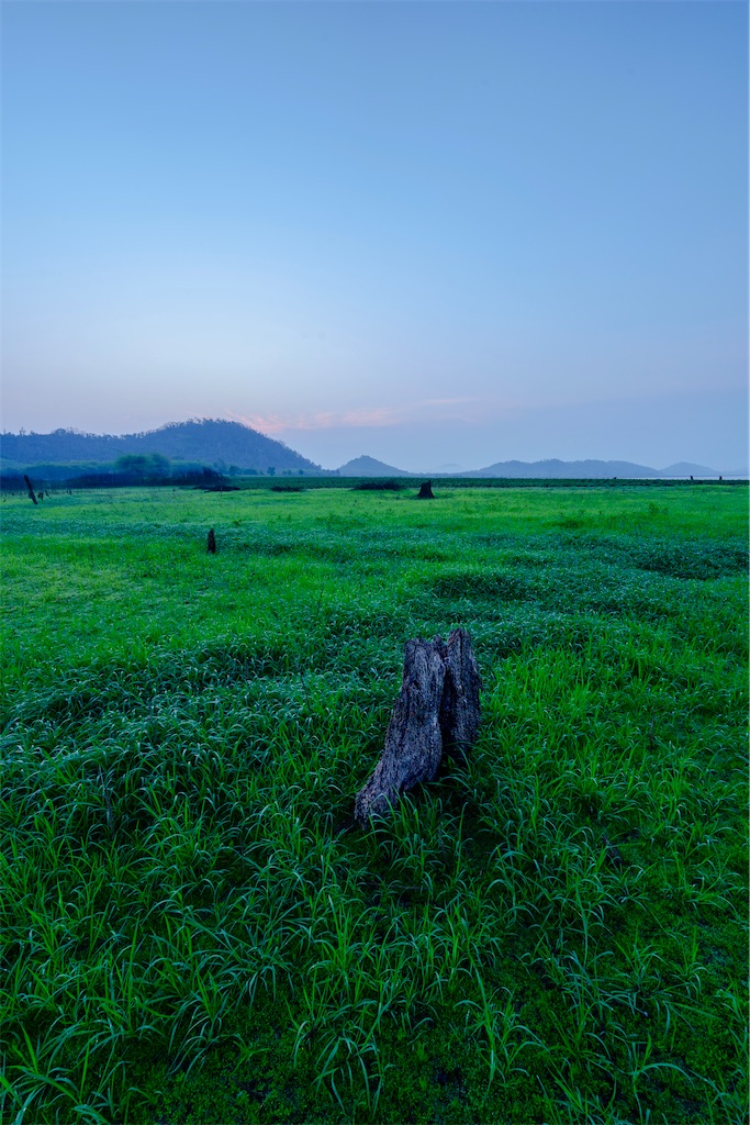 f:id:manao-life:20260507161416j:image f:id:manao-life:20260507161416j:image