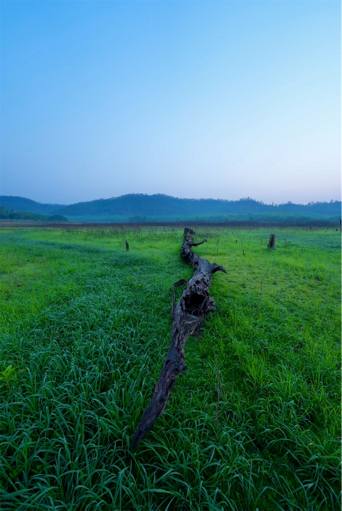 f:id:manao-life:20260507161425j:image f:id:manao-life:20260507161425j:image