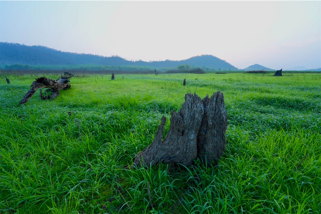 f:id:manao-life:20260507161506j:image f:id:manao-life:20260507161506j:image
