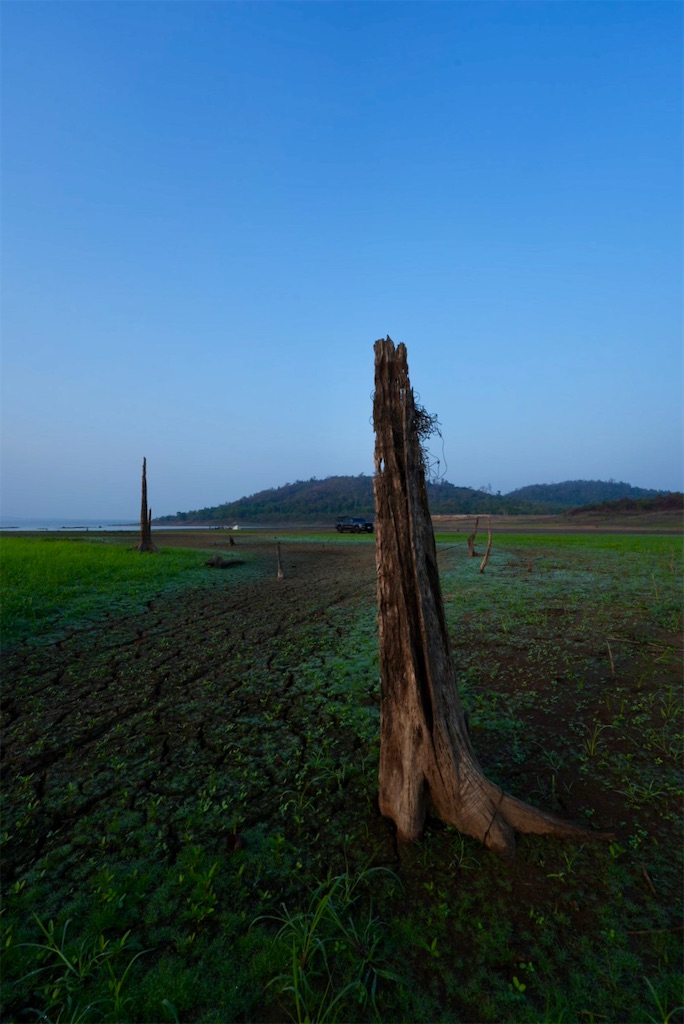 f:id:manao-life:20260507161518j:image f:id:manao-life:20260507161518j:image