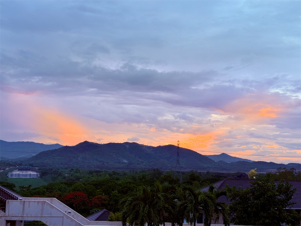 f:id:manao-life:20260604173318j:image f:id:manao-life:20260604173318j:image