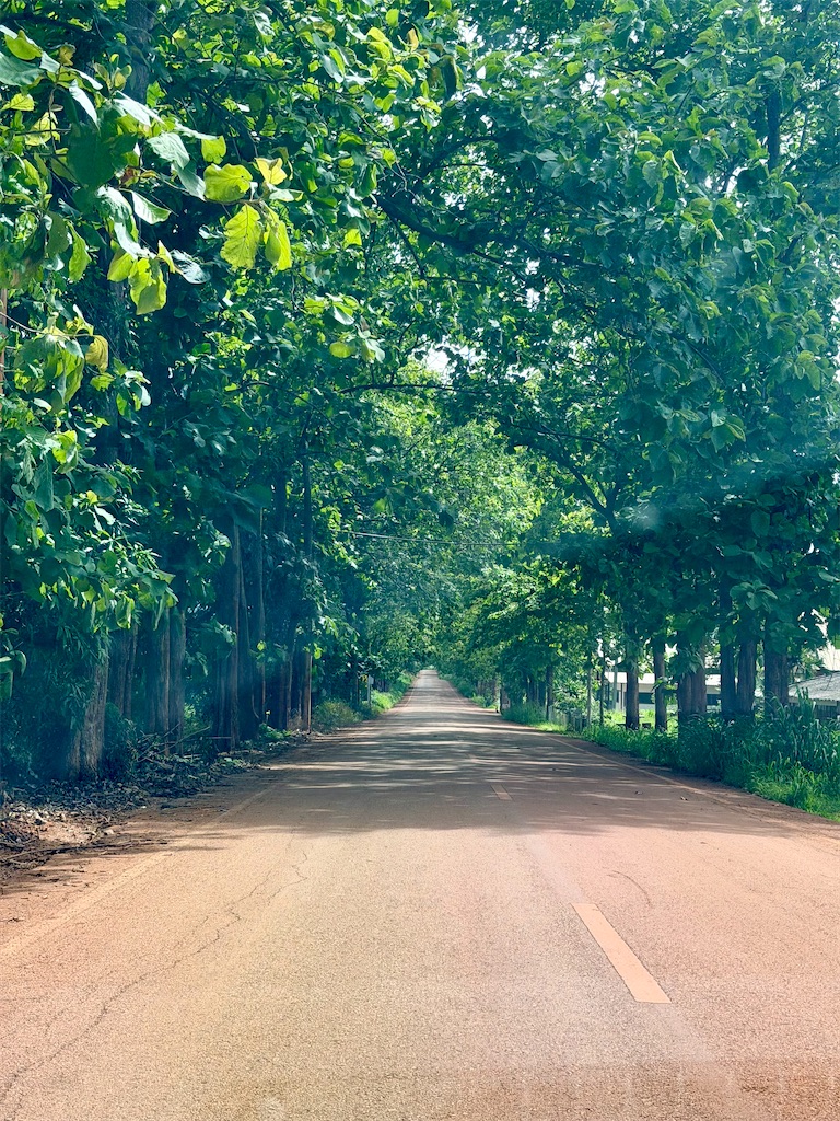 f:id:manao-life:20260624191942j:image