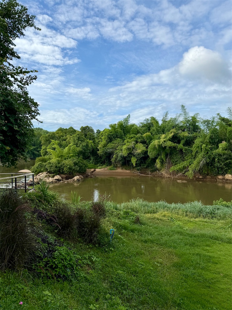 f:id:manao-life:20260624192019j:image