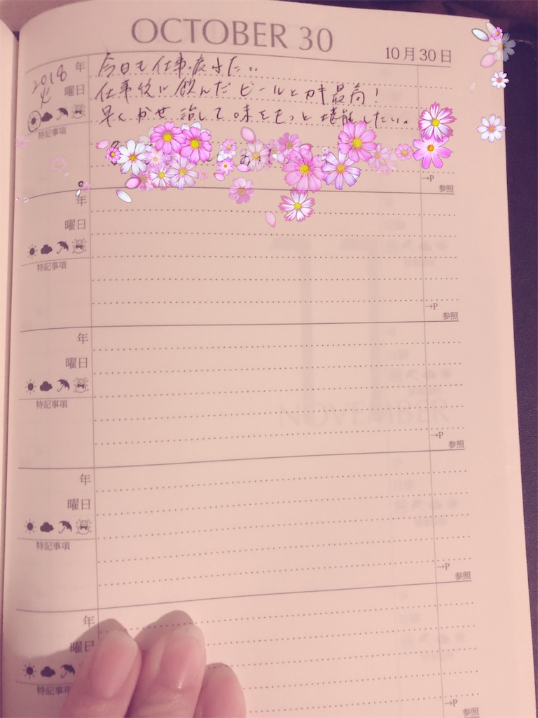 f:id:manaolana123:20181030233945j:image f:id:manaolana123:20181030233945j:image