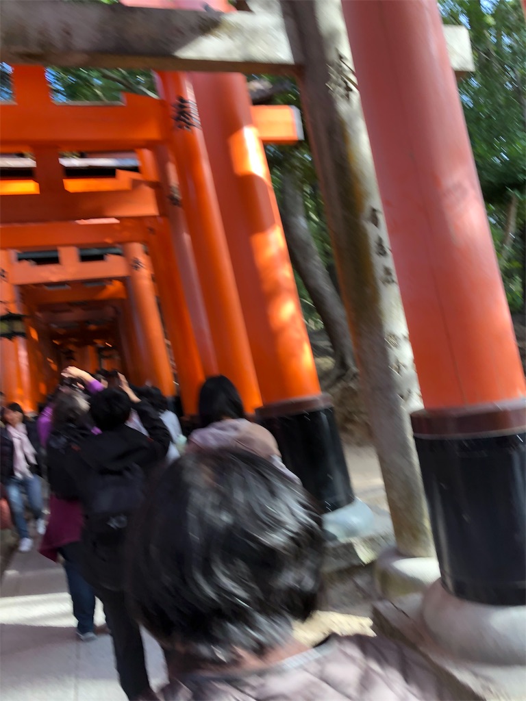 f:id:manaopaisen:20191117211709j:image f:id:manaopaisen:20191117211709j:image