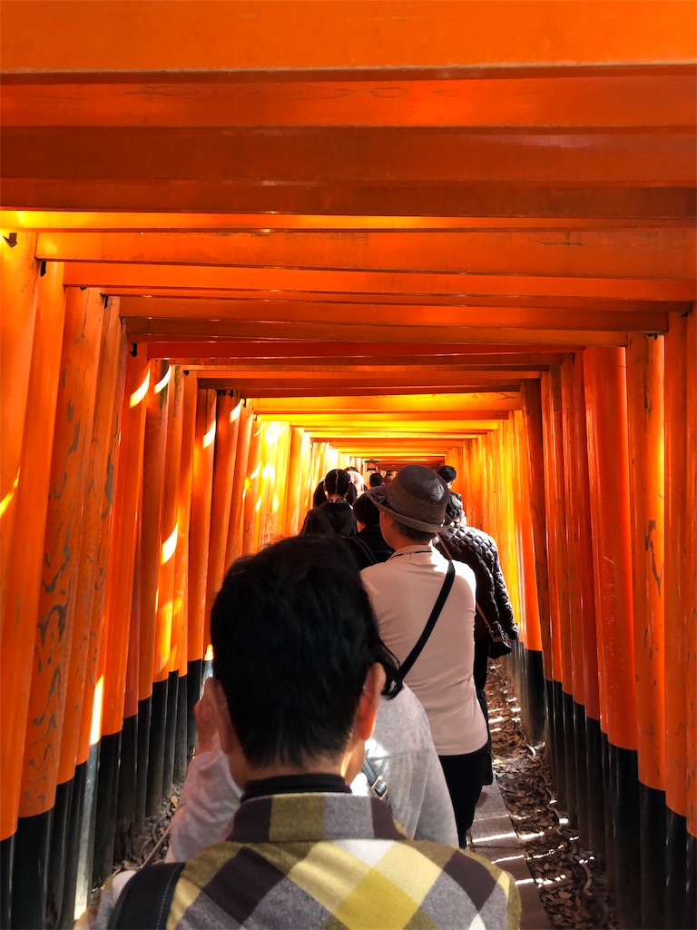 f:id:manaopaisen:20191117212022j:image f:id:manaopaisen:20191117212022j:image