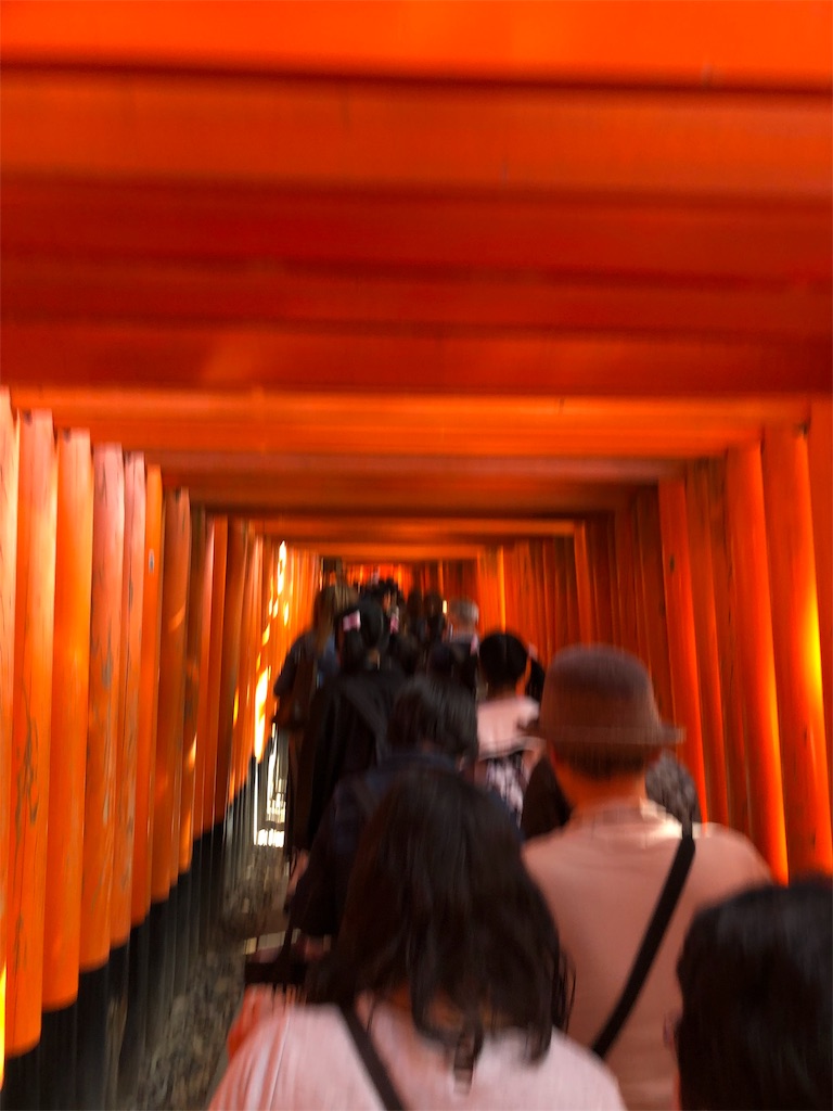 f:id:manaopaisen:20191117212027j:image f:id:manaopaisen:20191117212027j:image