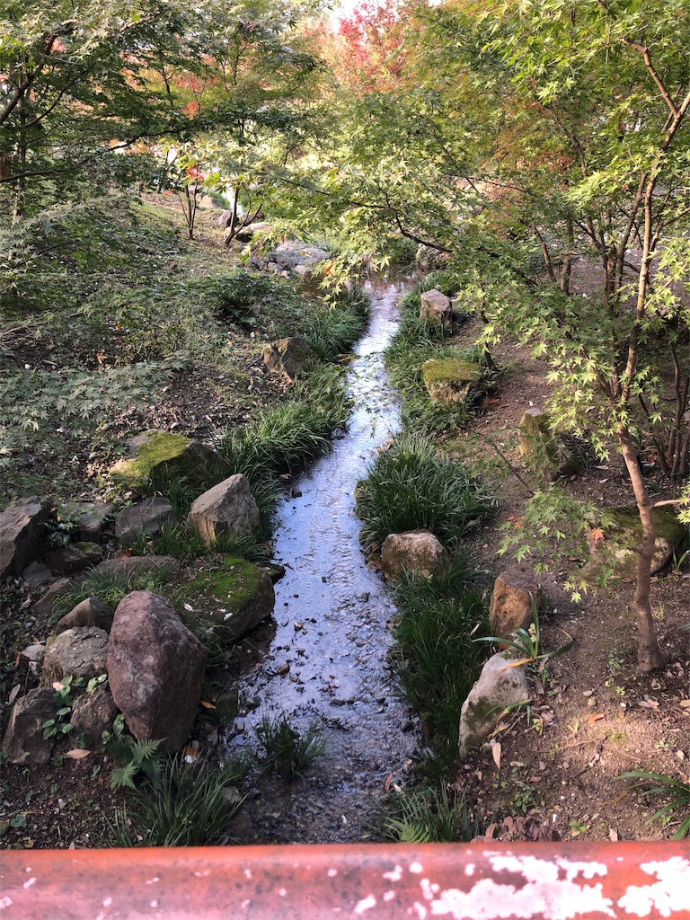 f:id:manaopaisen:20191117212535j:image f:id:manaopaisen:20191117212535j:image