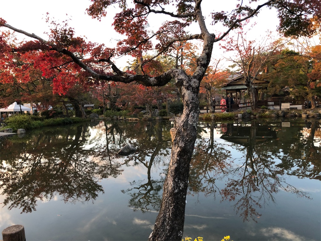 f:id:manaopaisen:20191206131830j:image f:id:manaopaisen:20191206131830j:image