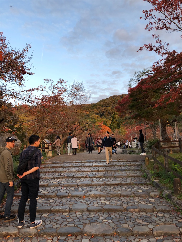 f:id:manaopaisen:20191206131839j:image f:id:manaopaisen:20191206131839j:image