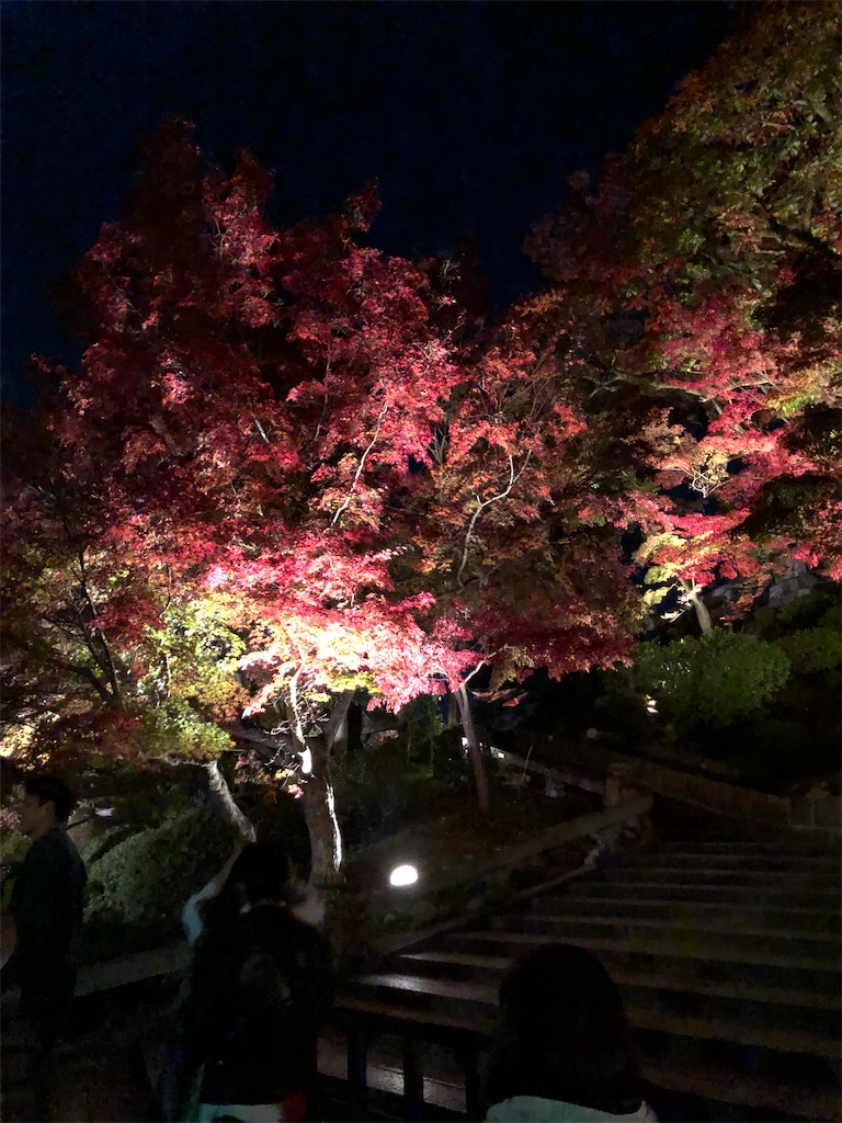 f:id:manaopaisen:20191206135019j:image f:id:manaopaisen:20191206135019j:image