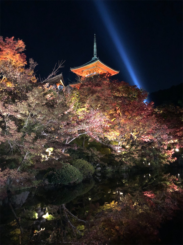 f:id:manaopaisen:20191206135024j:image f:id:manaopaisen:20191206135024j:image