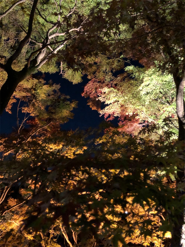 f:id:manaopaisen:20191206135028j:image f:id:manaopaisen:20191206135028j:image
