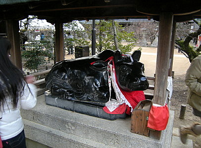 f:id:manasaka:20130125155140j:image