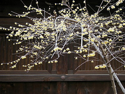 f:id:manasaka:20130125155218j:image