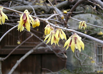 f:id:manasaka:20130125155233j:image