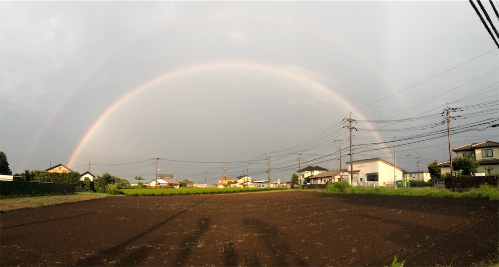 f:id:manasmilesun:20200812223451j:image