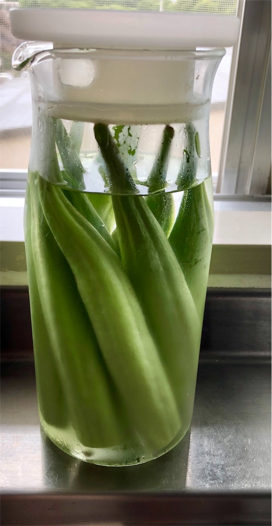 f:id:manasmilesun:20200823180827j:image