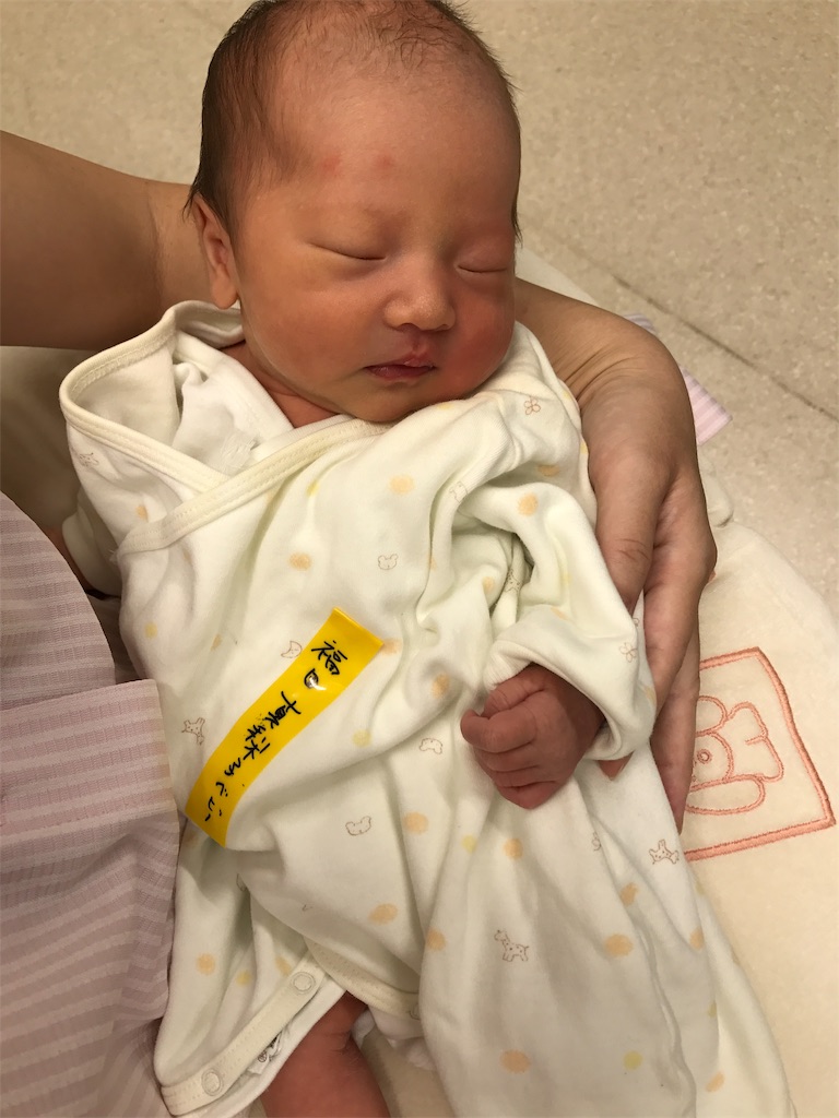 f:id:manatsunotooriame:20190208102634j:image f:id:manatsunotooriame:20190208102634j:image