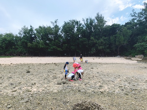 f:id:manavel:20190822151926j:plain f:id:manavel:20190822151926j:plain