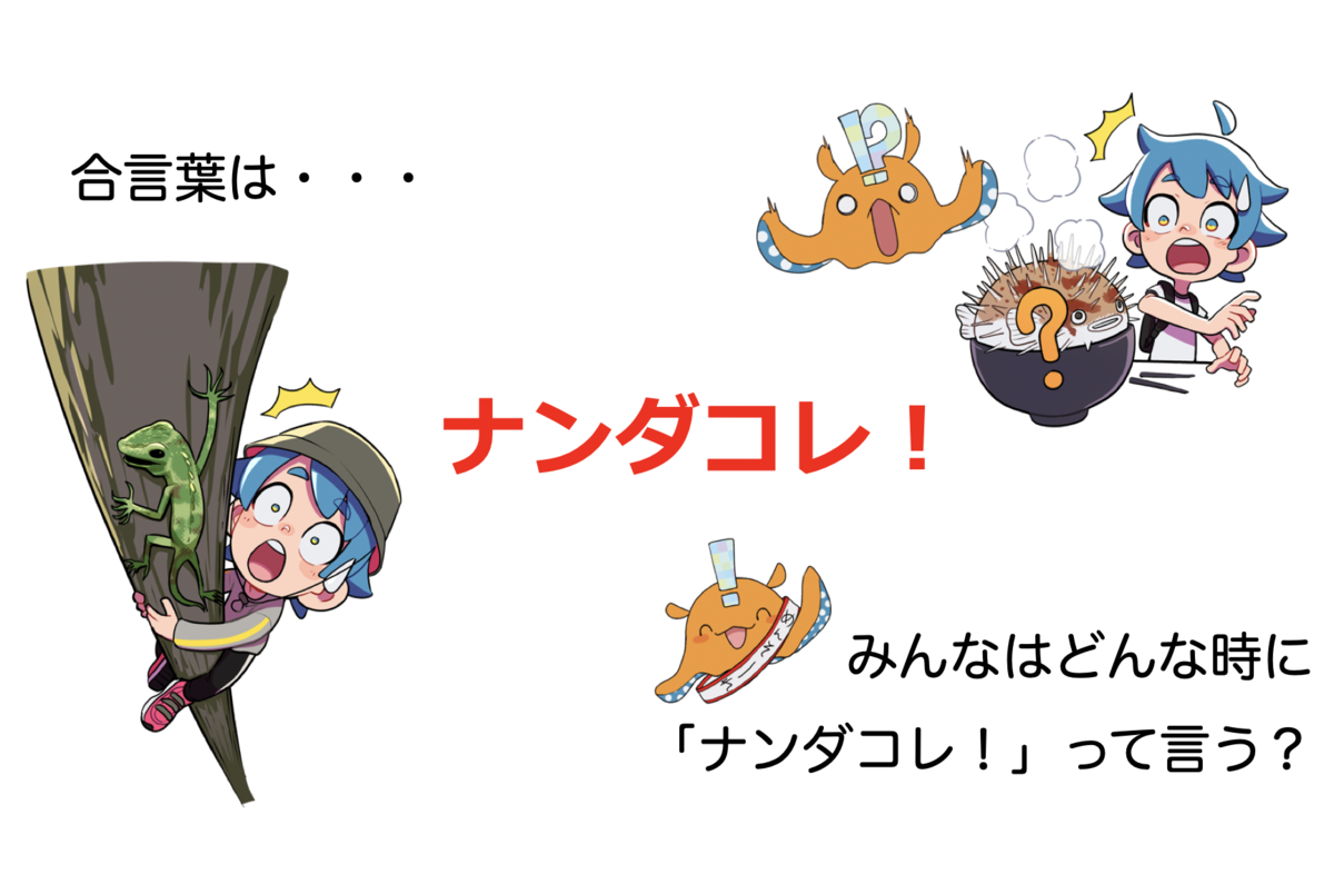f:id:manavel:20191204231751p:plain f:id:manavel:20191204231751p:plain