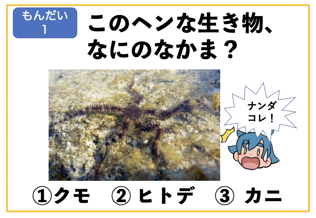 f:id:manavel:20191204232537p:plain f:id:manavel:20191204232537p:plain