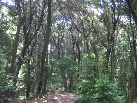 f:id:manchinpapa:20150525121433j:image f:id:manchinpapa:20150525121433j:image
