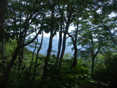 f:id:manchinpapa:20150712090148j:image f:id:manchinpapa:20150712090148j:image