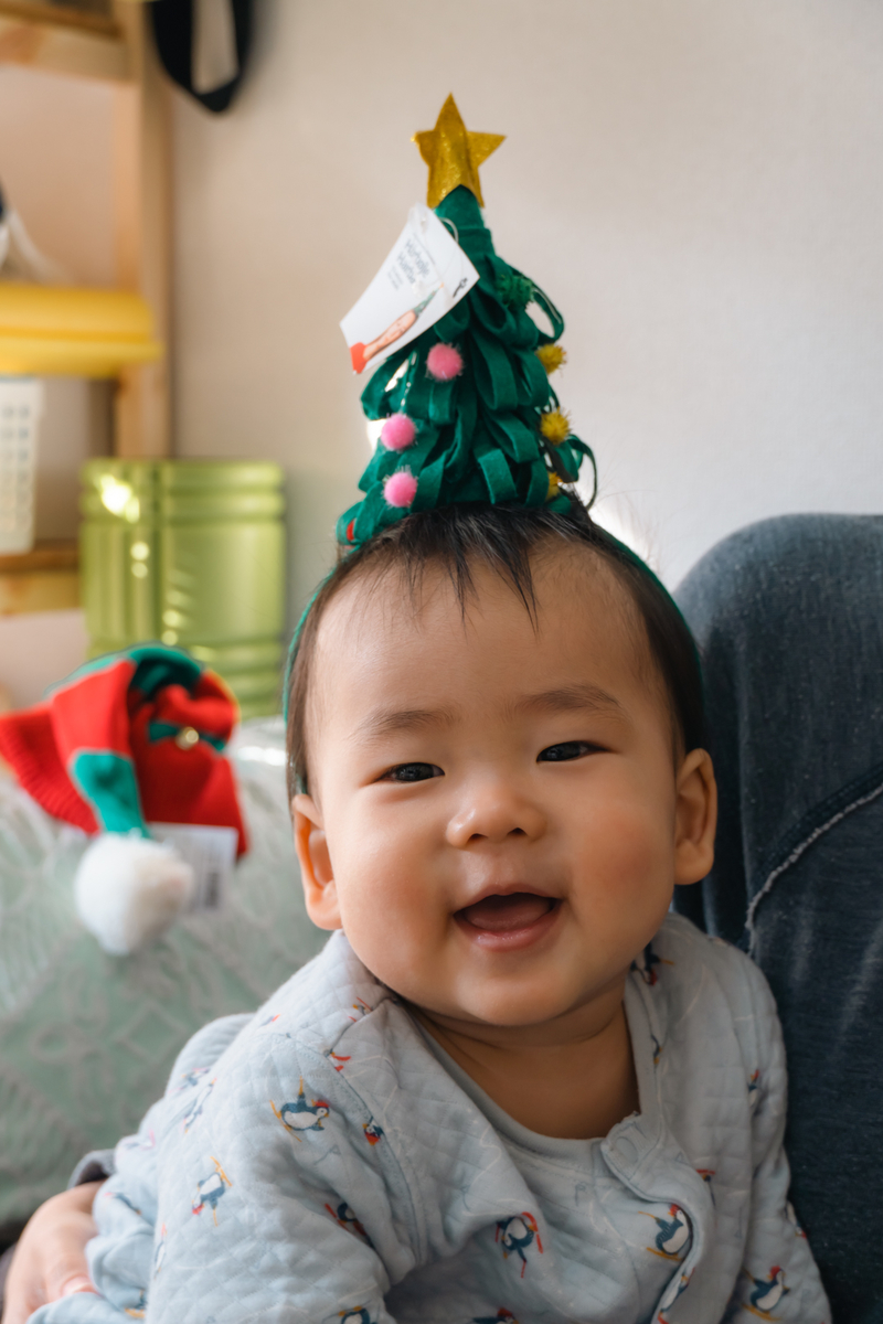 生後9ヶ月の所感 生まれて初めてのクリスマスとお正月を迎え つかまり立ち つかまり歩きもできるように Mandl Life 生後9ヶ月の所感 生まれて初めてのクリスマスとお正月を迎え つかまり立ち つかまり歩きもできるように Mandl Life