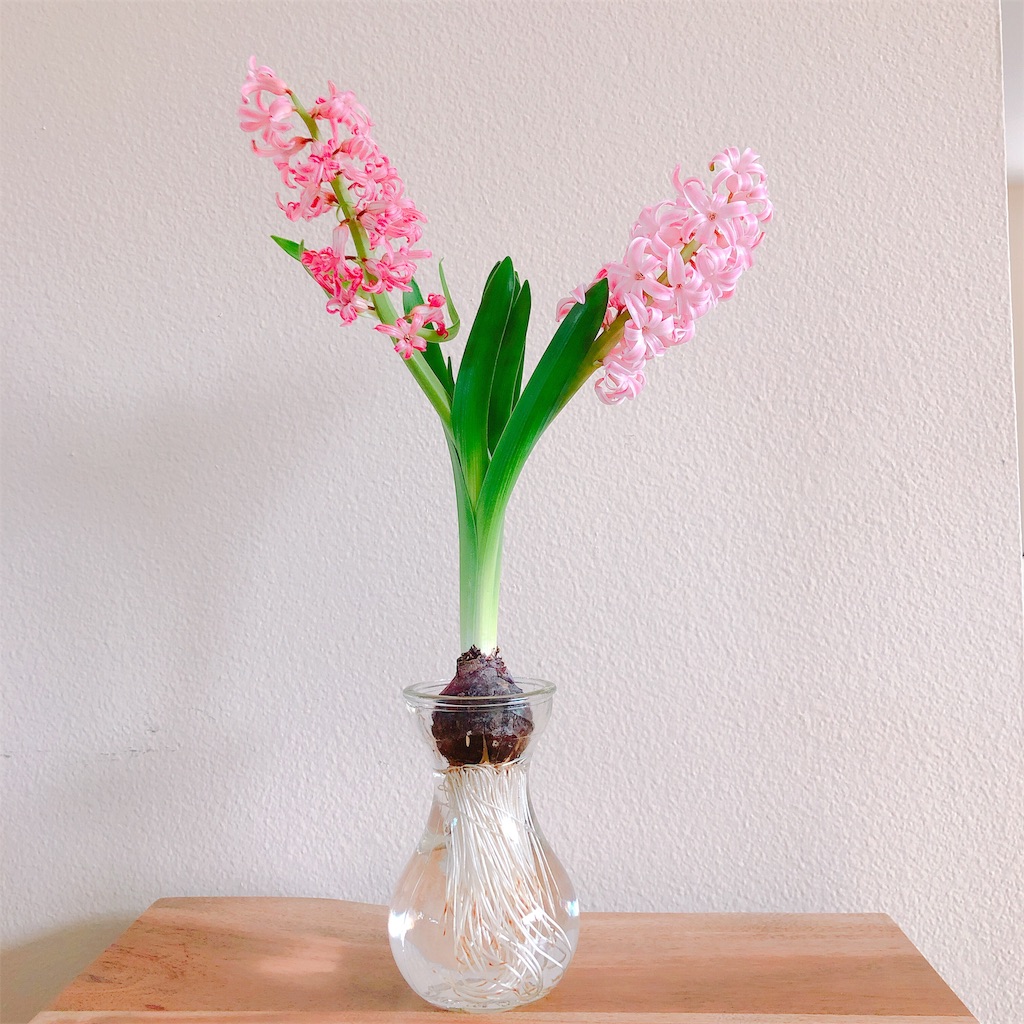 f:id:mandmworks:20190321055842j:image f:id:mandmworks:20190321055842j:image