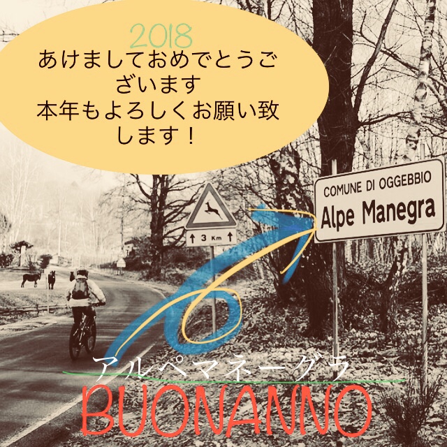 f:id:manegra883:20180101001410j:plain