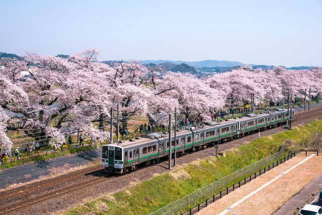 【株主優待】鉄分が高い人にオススメの鉄道株3選。株主優待の乗車証とは?