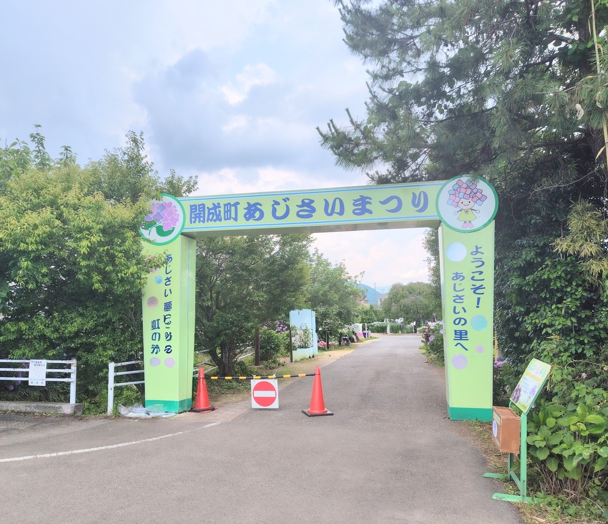 開成町あじさいまつり2026｜あじさいと田園風景を楽しむ休日 - 日