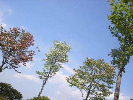 f:id:manga-do:20110508141318j:image f:id:manga-do:20110508141318j:image