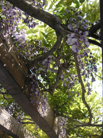 f:id:manga-do:20110508141624j:image f:id:manga-do:20110508141624j:image