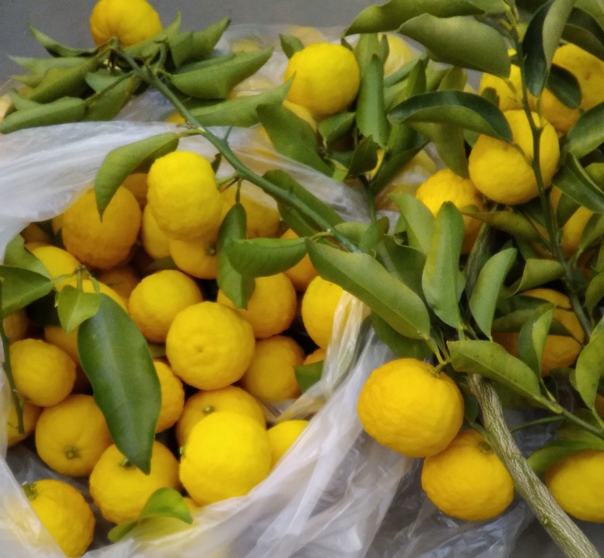 f:id:manga-do:20211127124608j:plain