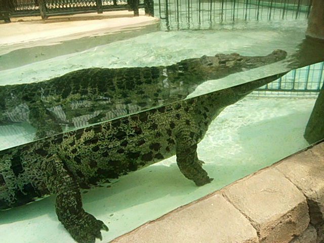 f:id:manga-imaking:20180731173846j:plain f:id:manga-imaking:20180731173846j:plain