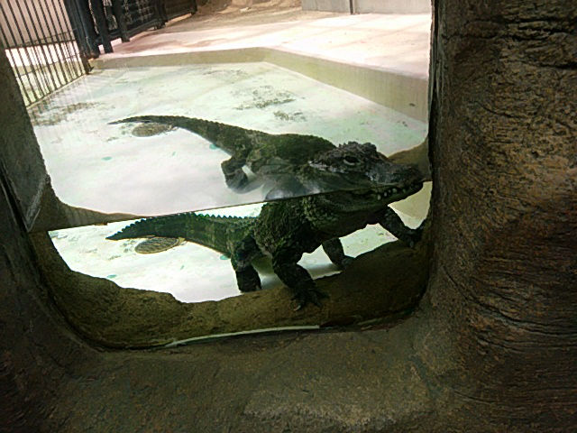 f:id:manga-imaking:20180731173925j:plain f:id:manga-imaking:20180731173925j:plain