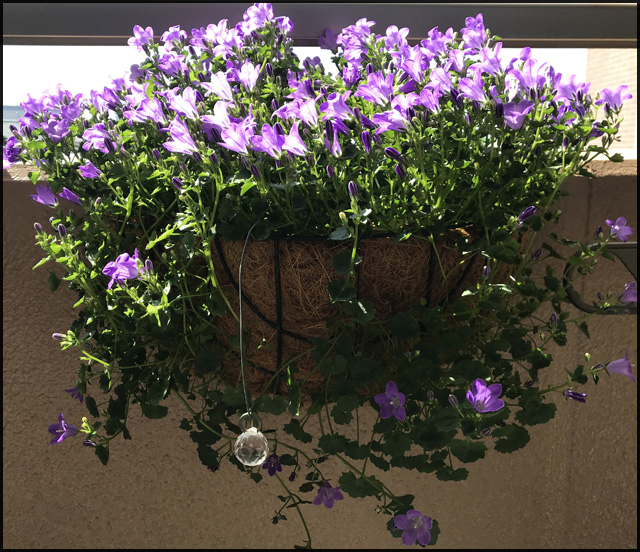 f:id:mangarou:20200512220536j:plain