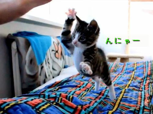 f:id:mangattan:20130108220253j:image f:id:mangattan:20130108220253j:image