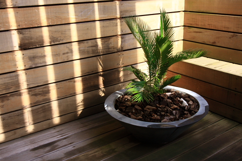 f:id:mangokyoto:20110522164031j:image:w230:right f:id:mangokyoto:20110522164031j:image:w230:right