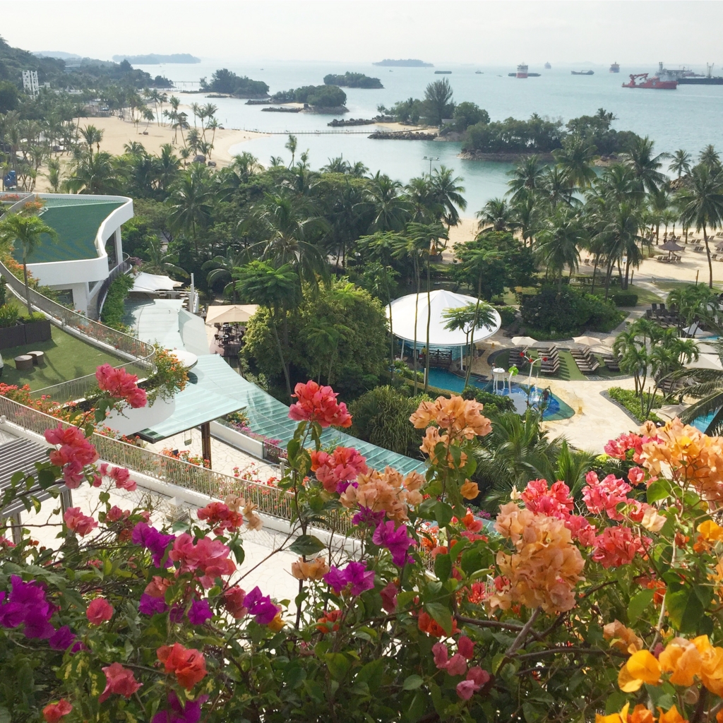 f:id:mangokyoto:20170121000453j:plain f:id:mangokyoto:20170121000453j:plain