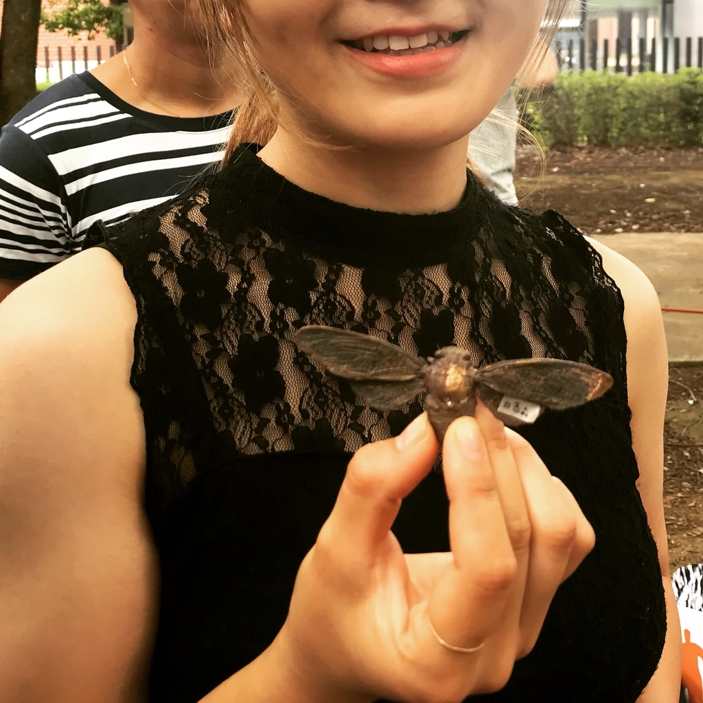 f:id:mangokyoto:20180909105551j:plain